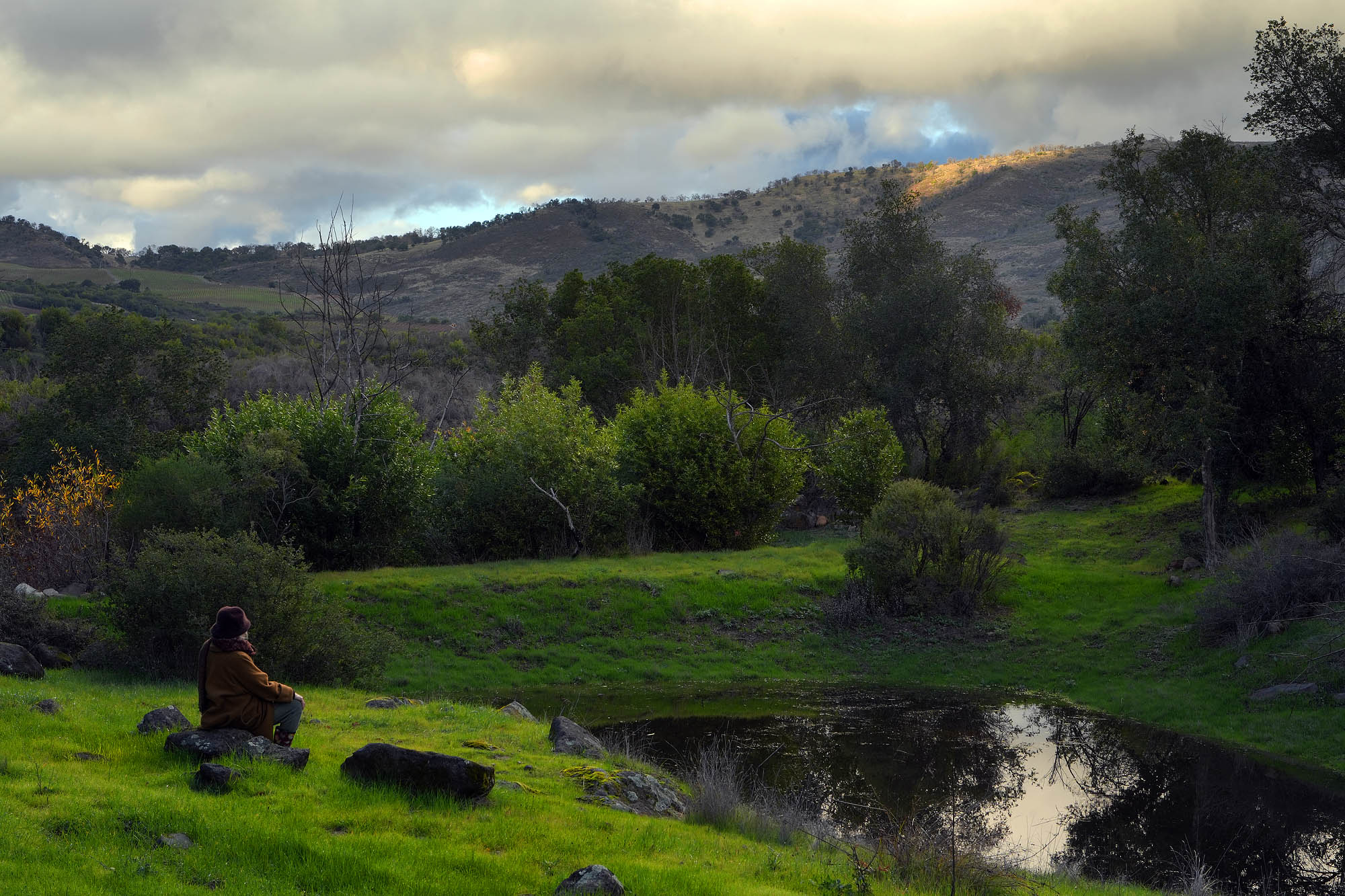 bill-hocker-vernal-pond-twin-brook-farm-napa-county-california-2024