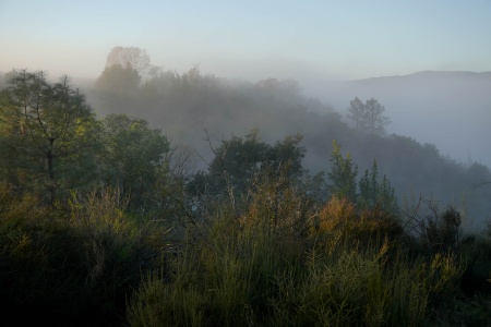 Twin Brook Farm
Napa County, California
