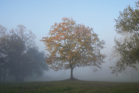 Twin Brook Farm
Napa County, California