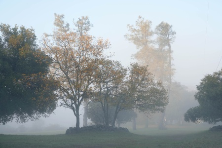 Twin Brook Farm
Napa County, California