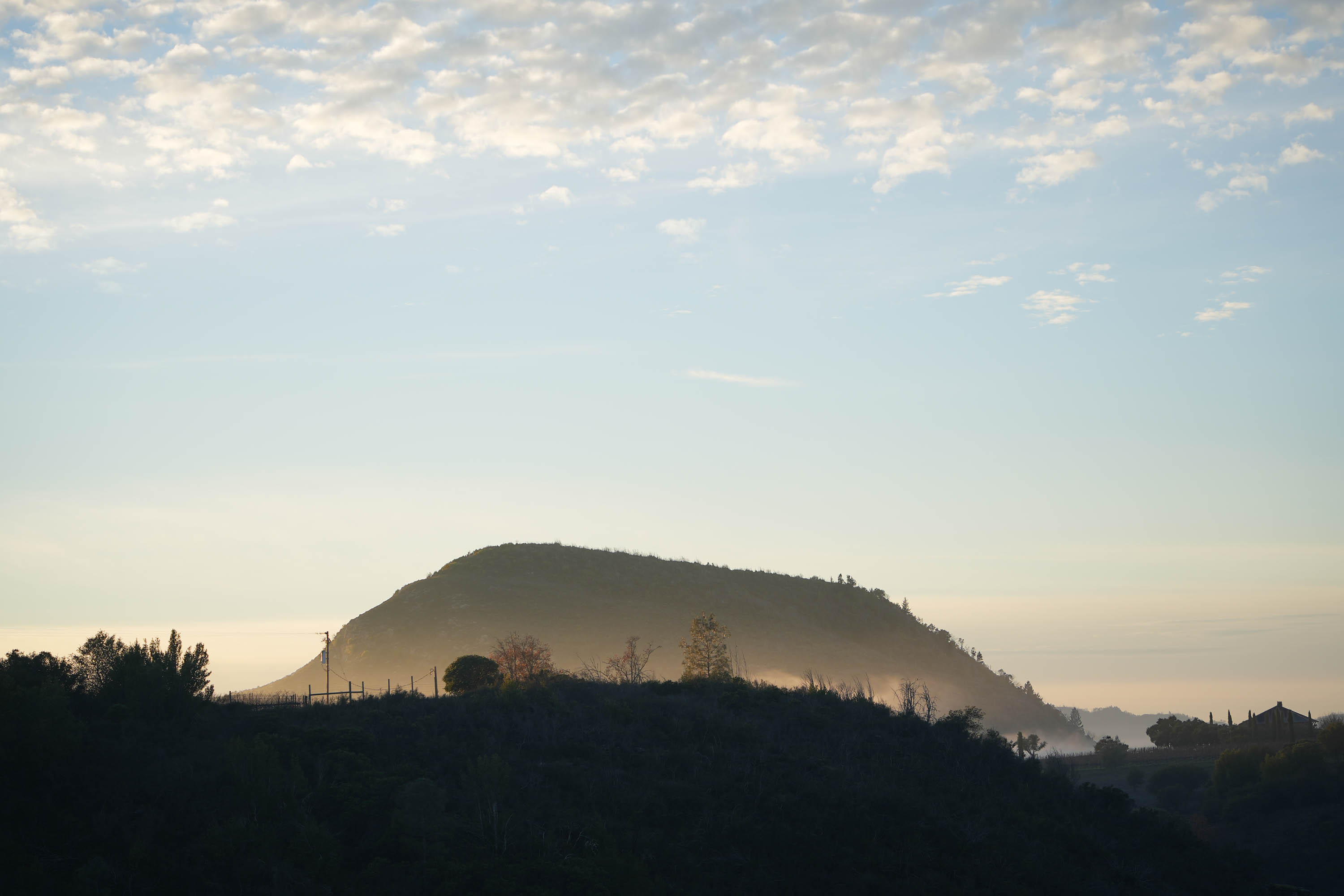 bill-hocker-haystack-twin-brook-farm-napa-county-california-2025