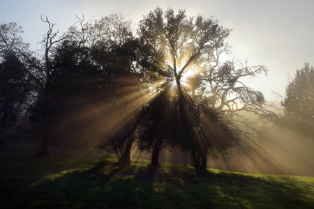 Twin Brook Farm
Napa County, California