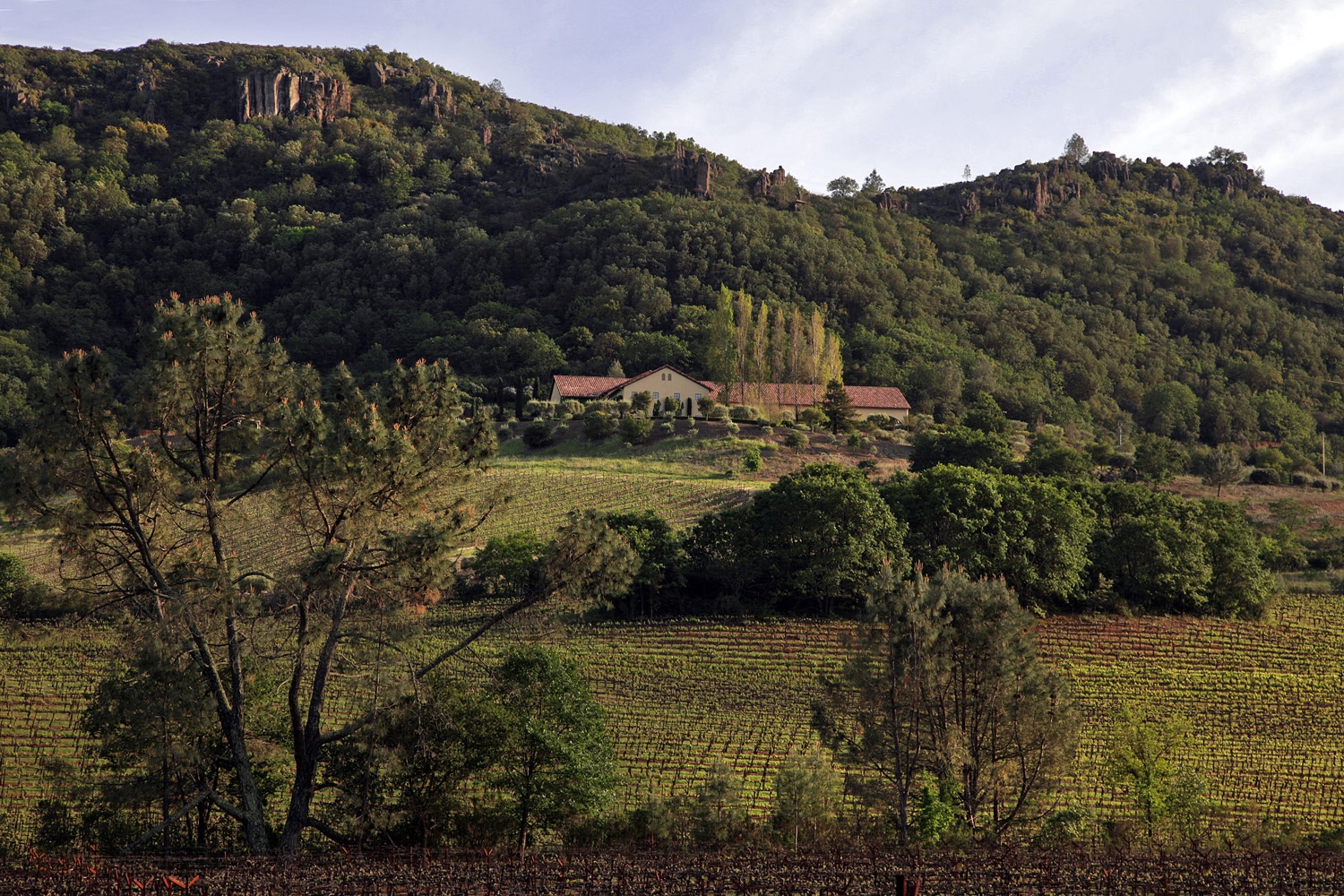bill-hocker-antica-napa-valley-winery-napa-california-2014