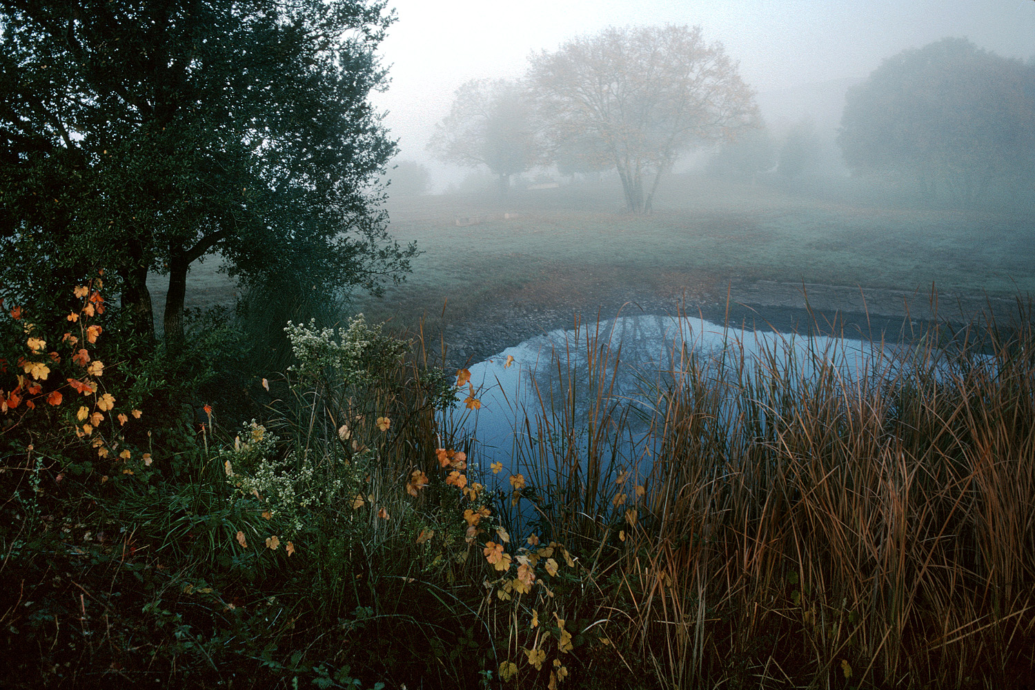 bill-hocker-the-pond-in-fall-twin-brook-farm-california-2000