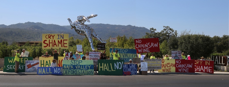Hall Winery Protest
