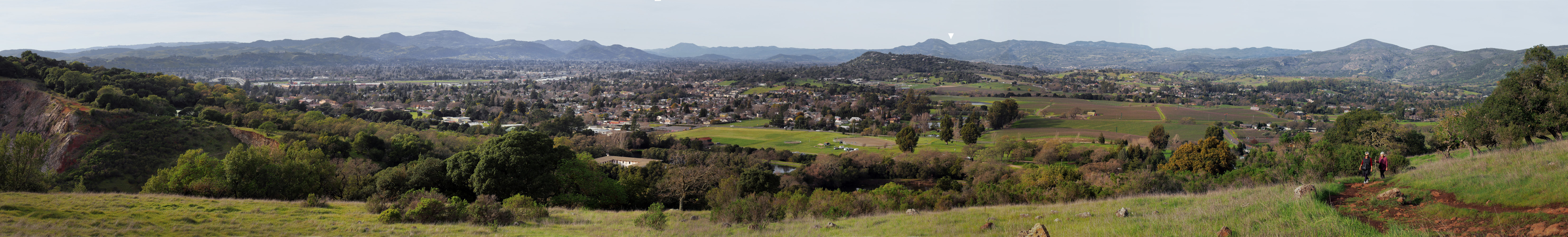 bill-hocker-from-skyline-park-napa-valley-california-2015