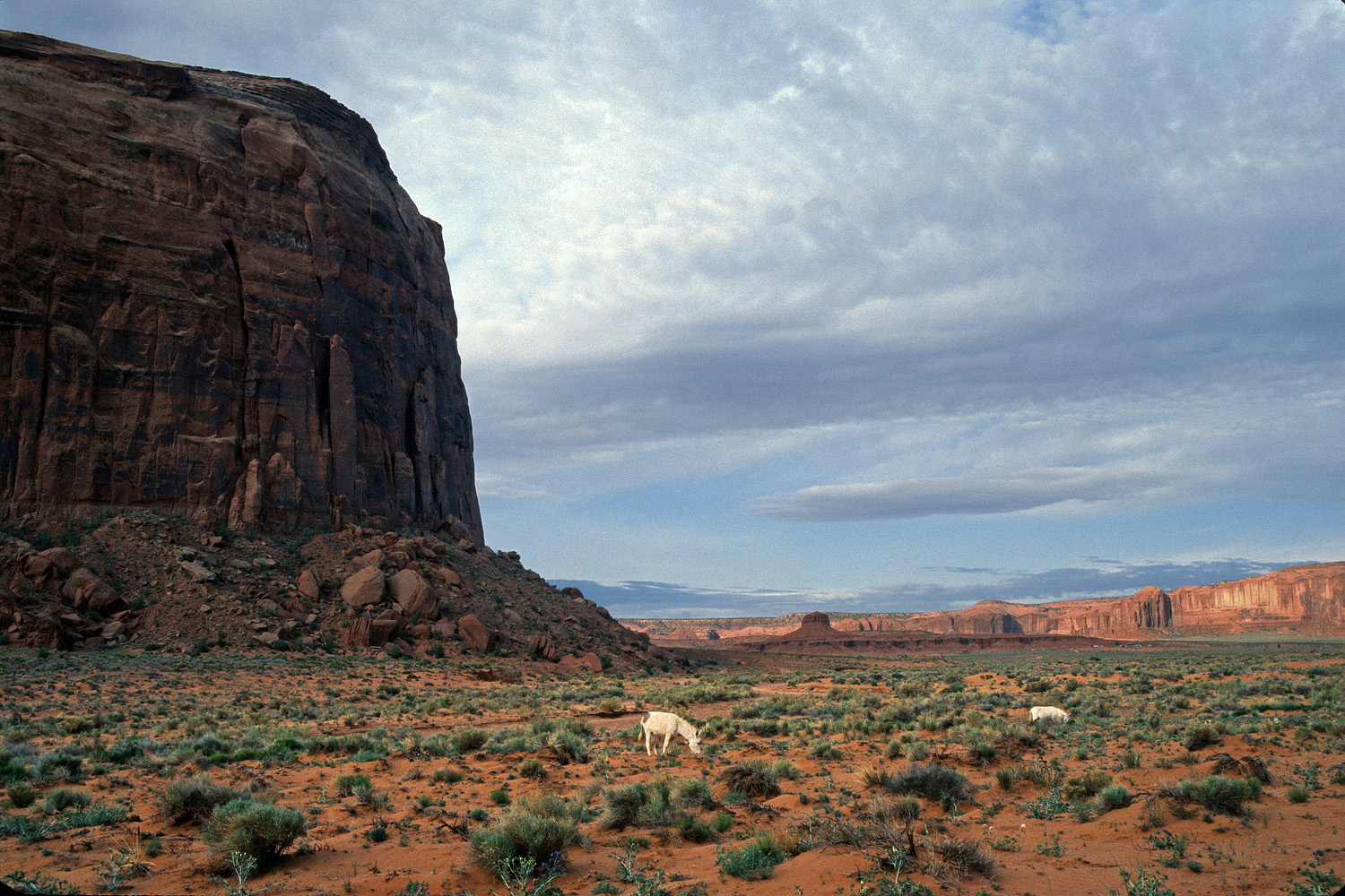 bill-hocker-mule-mesa-monument-valley-tribal-park-2003