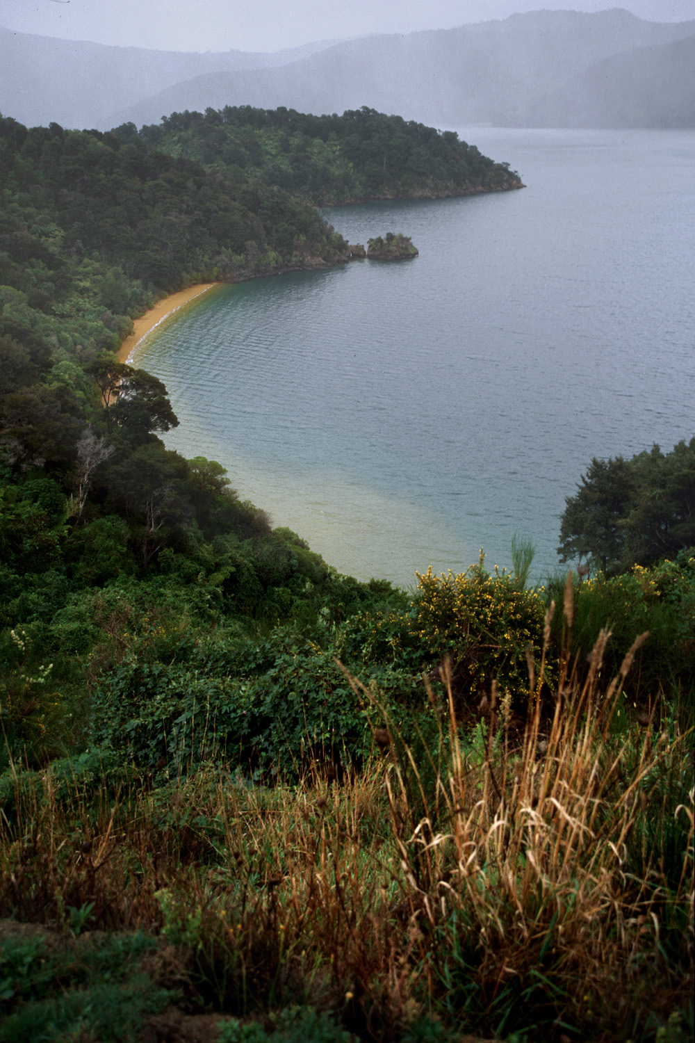 bill-hocker-queen-charlotte-drive-near-picton-new-zealand-2006