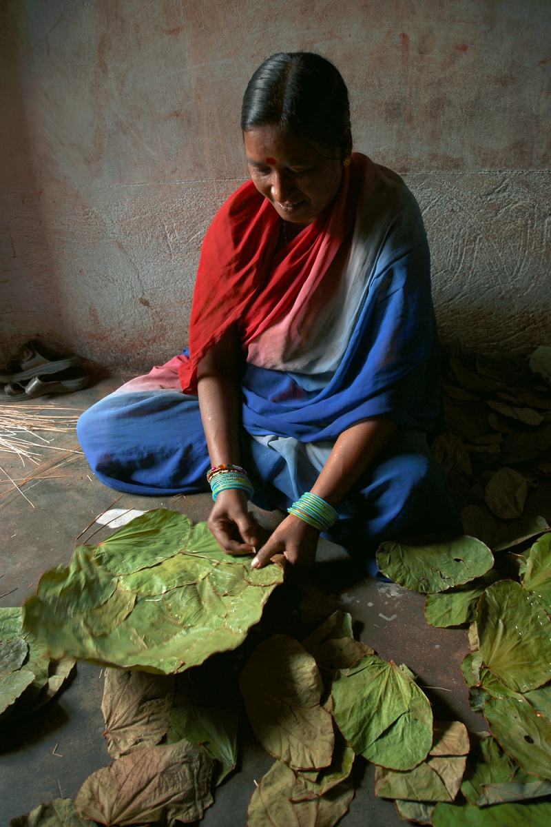 bill-hocker-leaf-plates-tribal-village-orissa-india-2007