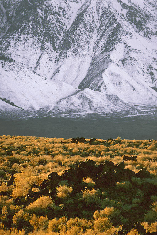 bill-hocker-sage-brush-white-mountains-nevada-1973