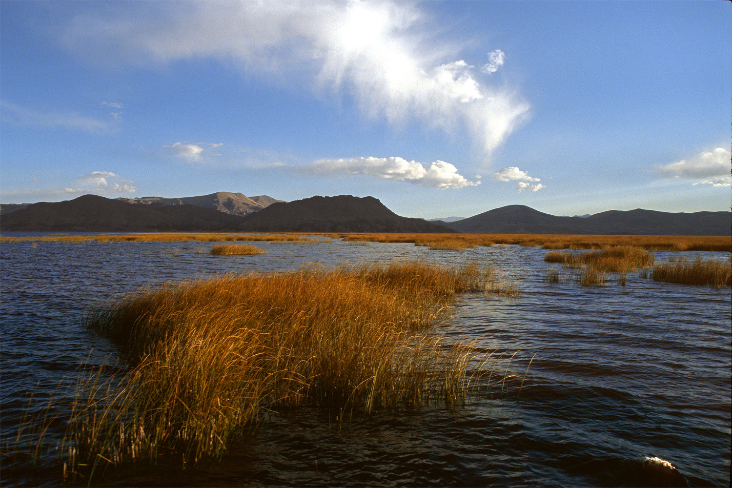 bill-hocker-reeds-lake-titicaca-peru-2005