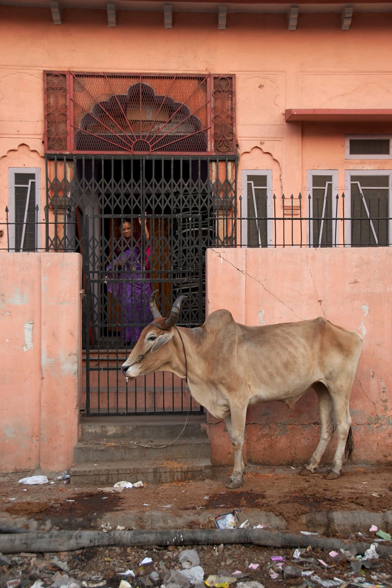 bill-hocker-home-entry-jaipur-india-2006