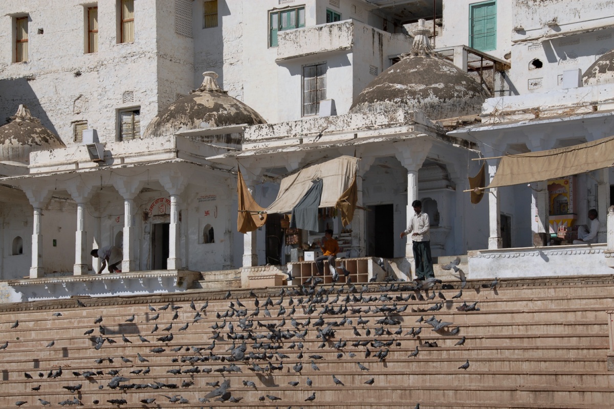 bill-hocker-pigeon-feeder-pushkar-india-2006