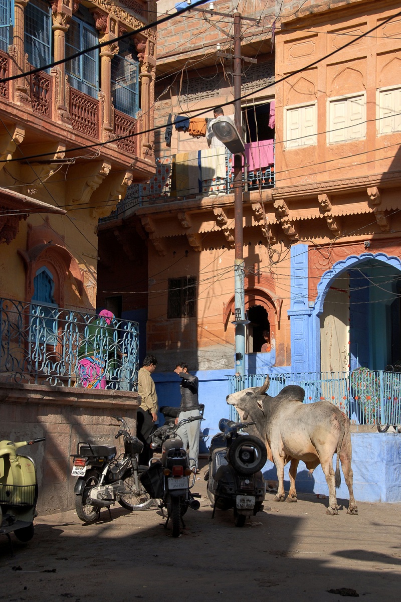 bill-hocker--jodhpur-india-2006