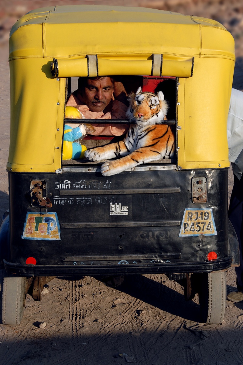 bill-hocker-driver-and-mascot-jodhpur-india-2006