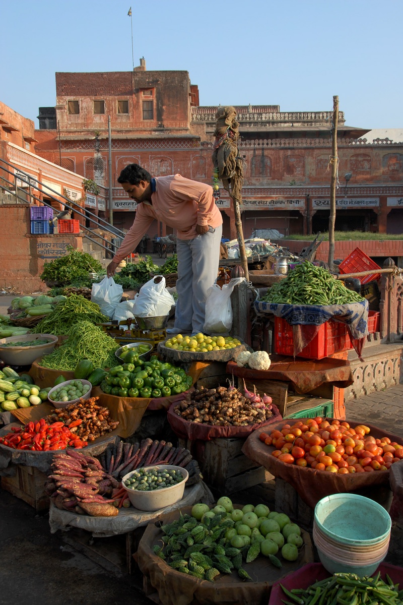 bill-hocker-produce-vendor-jaipur-india-2006