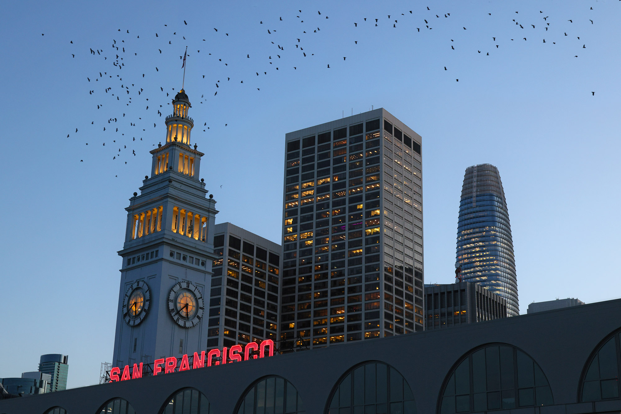 bill-hocker-ferry-building-salesforce-tower-san-francisco-california-2023