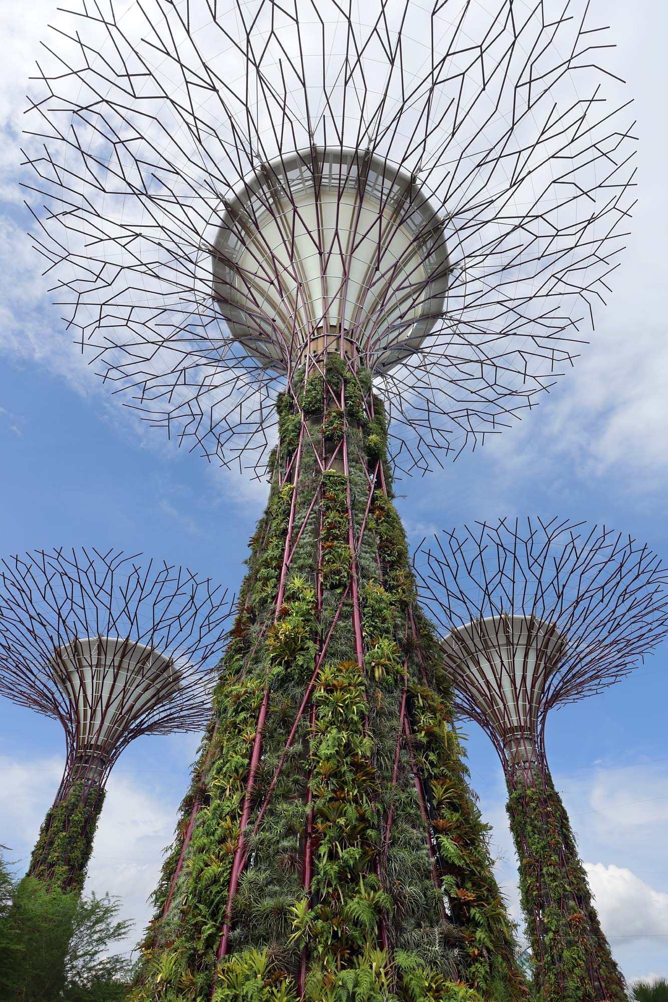 bill-hocker-gardens-by-the-bay-singapore-2022