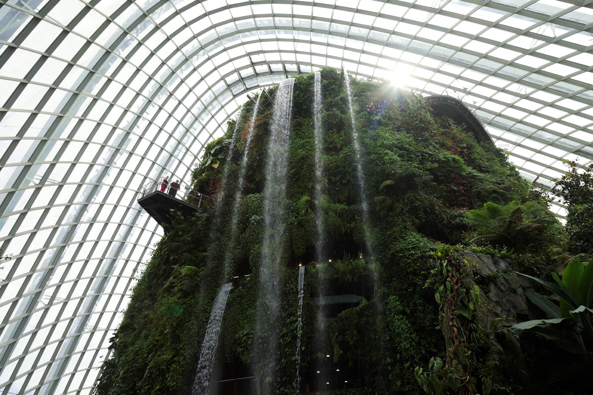 bill-hocker-cloud-forest-gardens-by-the-bay-singapore-2022