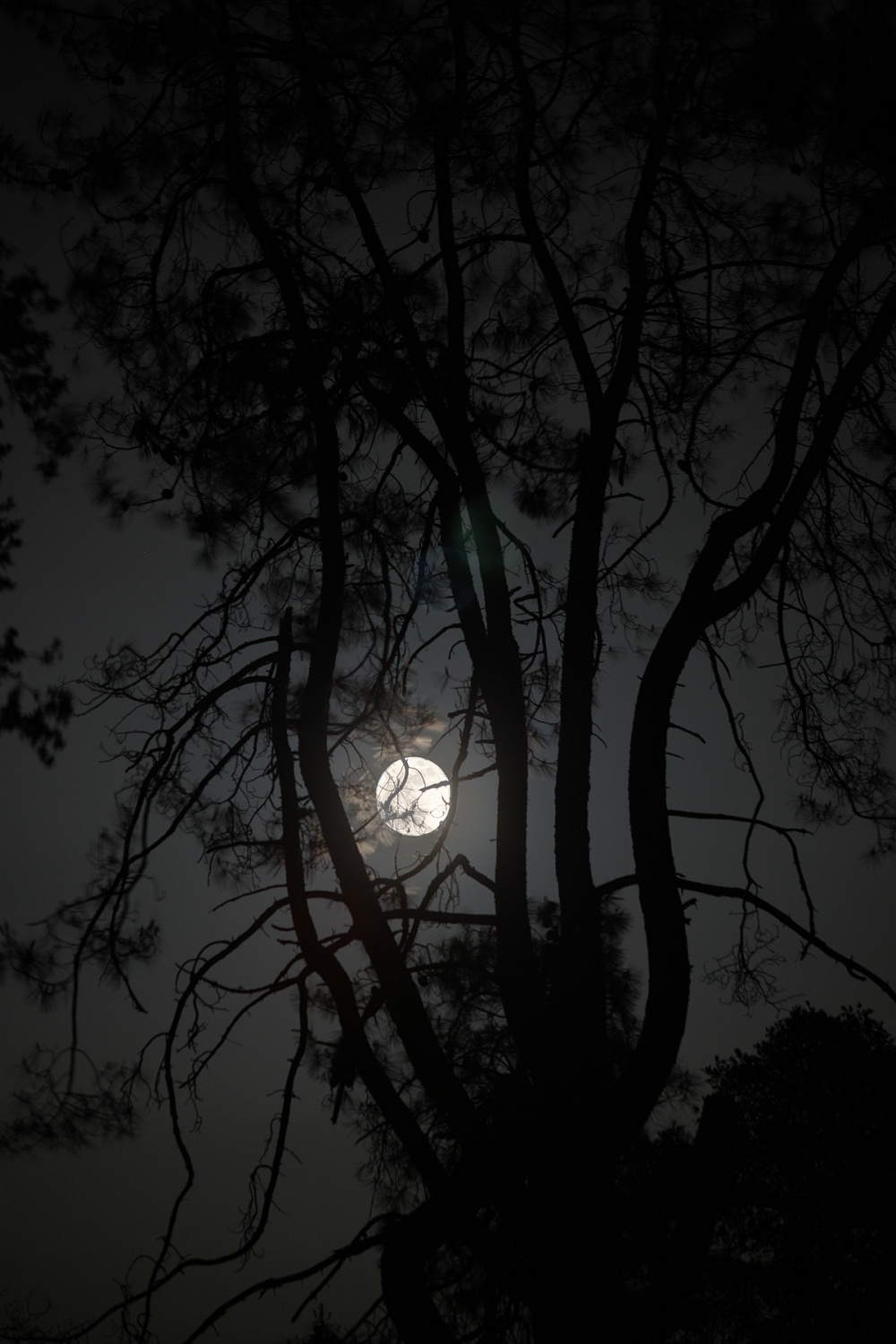 bill-hocker-may-6th-supermoon-twin-brook-farm-napa-california-2012