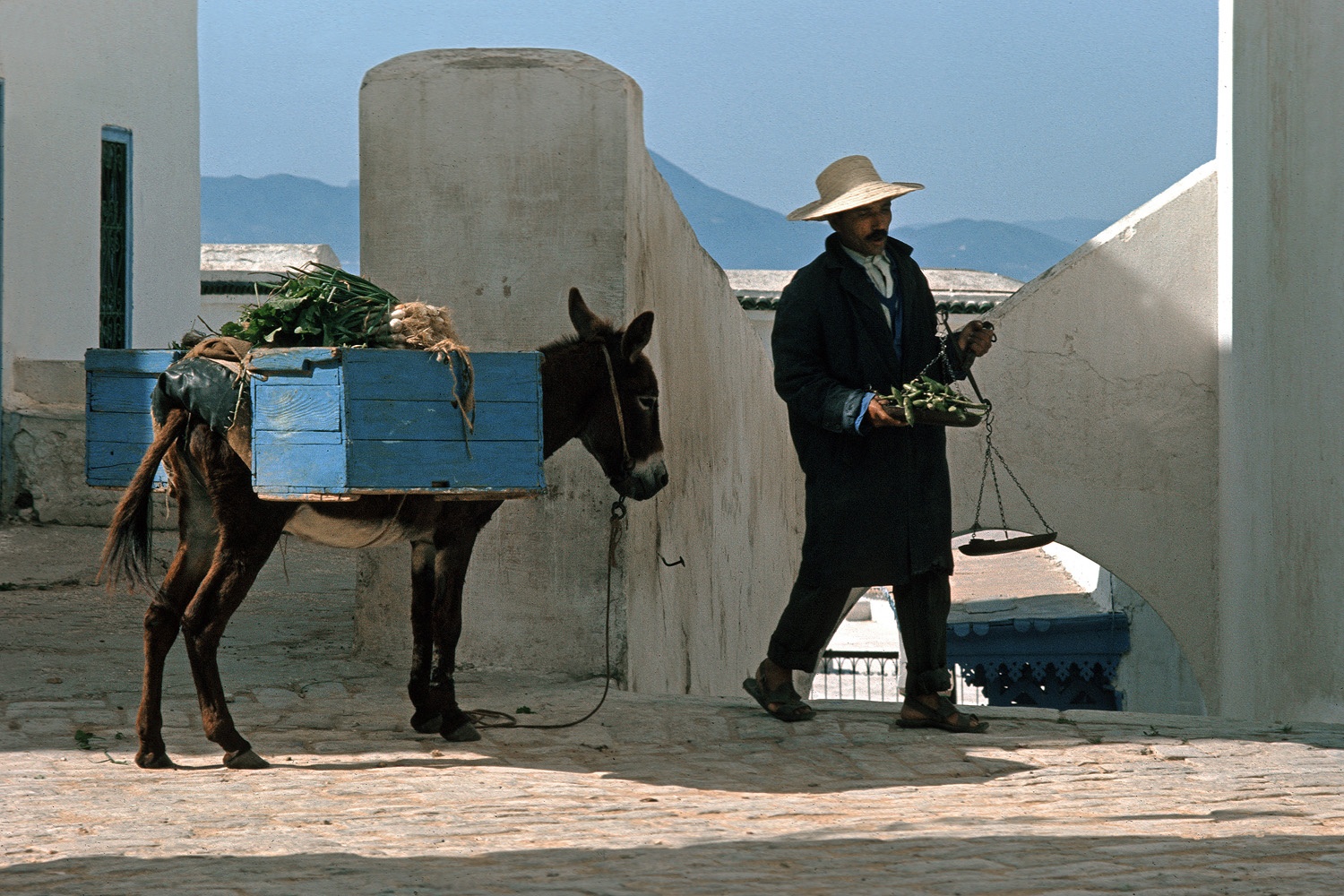 bill-hocker-farmer-merchant-sidi-bou-saïd-tunisia-1970