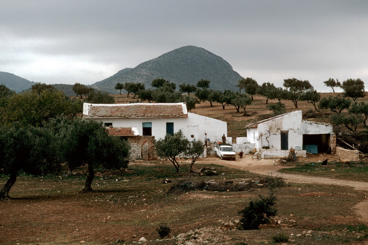 bill-hocker-farm-tunisia-1994