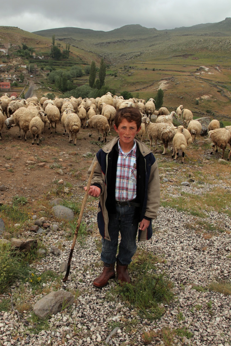 bill-hocker-shepherd-above-güzelyurt-turkey-2010