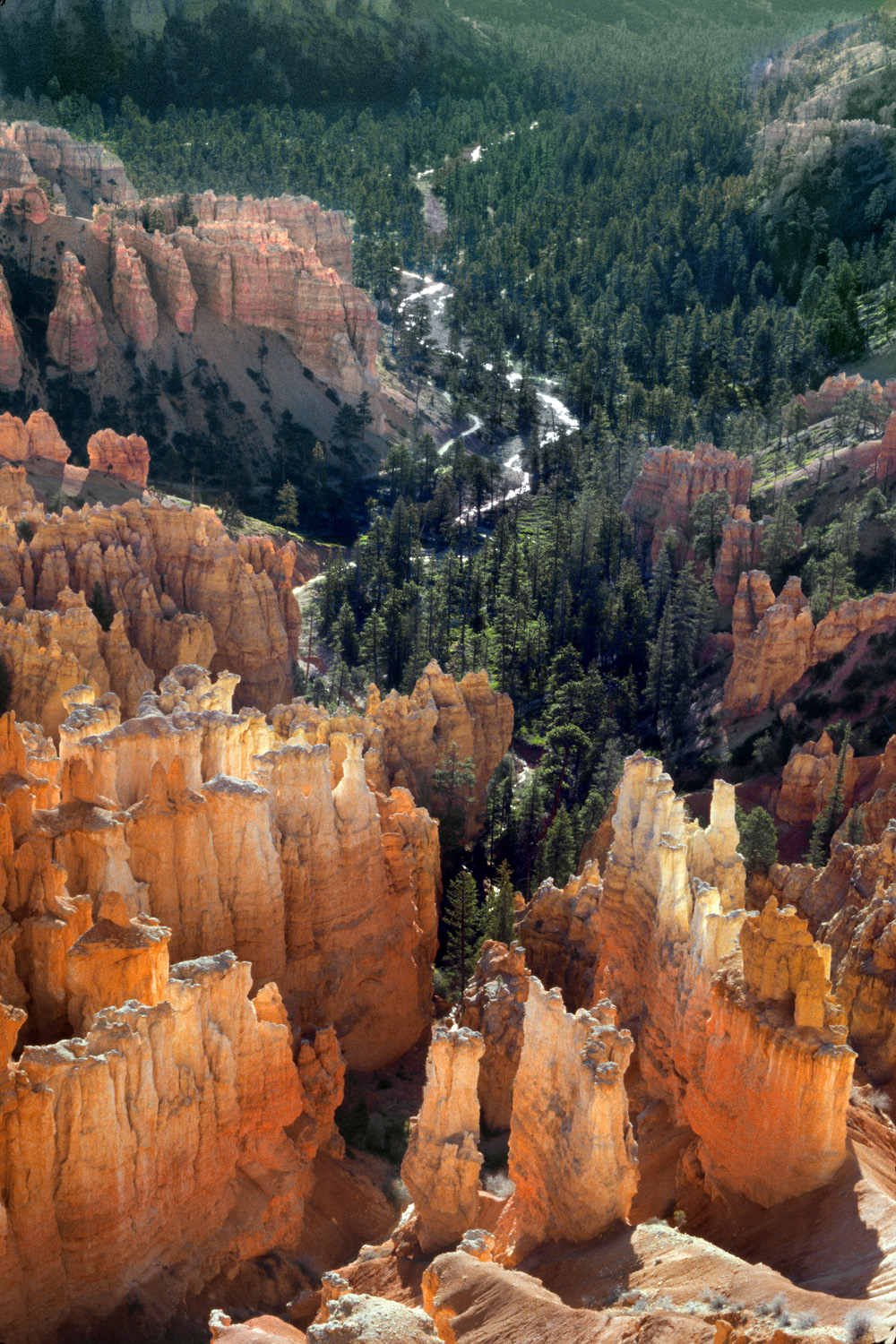 bill-hocker-bryce-creek-from-inspiration-point-bryce-canyon-national-park-utah-2003