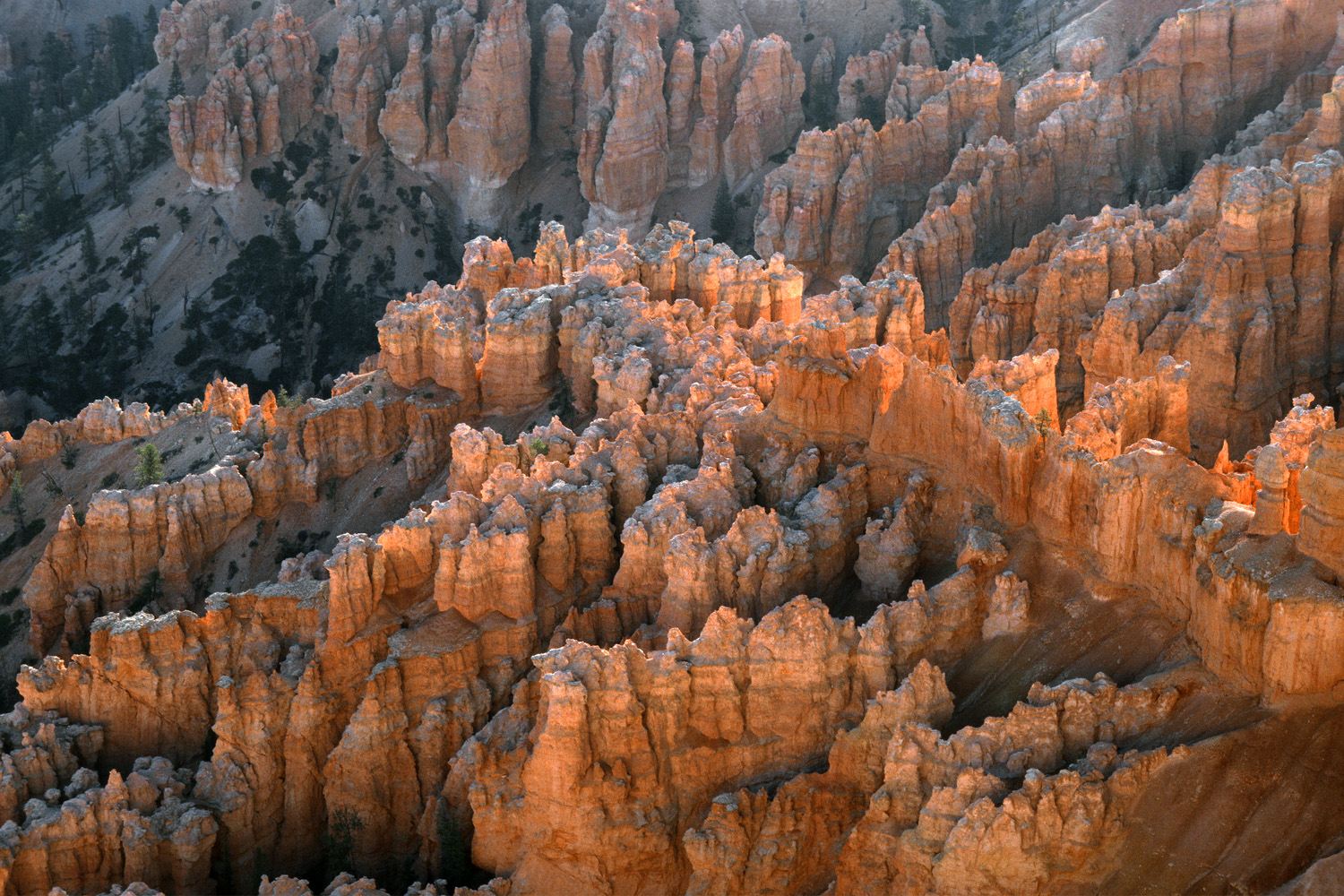 bill-hocker-from-bryce-point-bryce-canyon-national-park-utah-2003