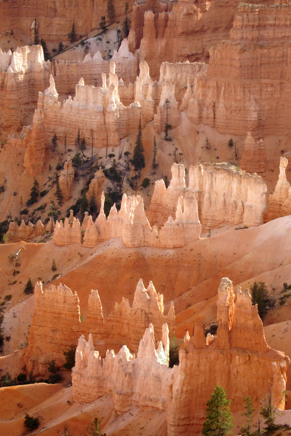 bill-hocker-from-sunrise-point-bryce-canyon-national-park-utah-2006